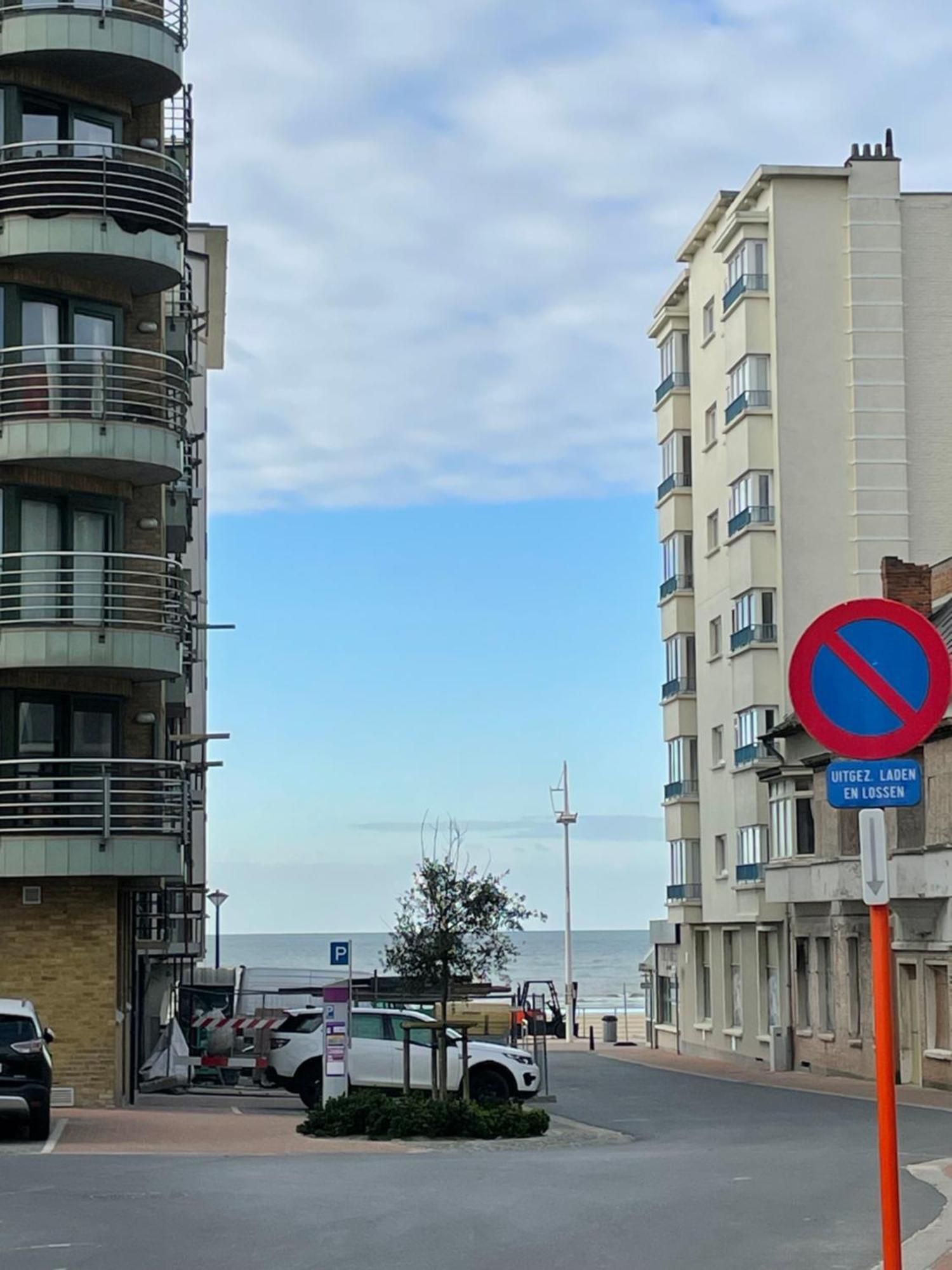 Appt Pablo Met Prive-Garage, Vlakbij Zee, In Koksijde-Bad Lejlighed Eksteriør billede